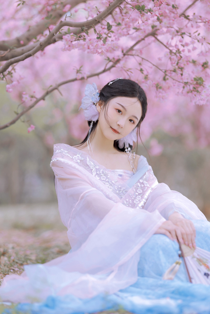 伯德小姐